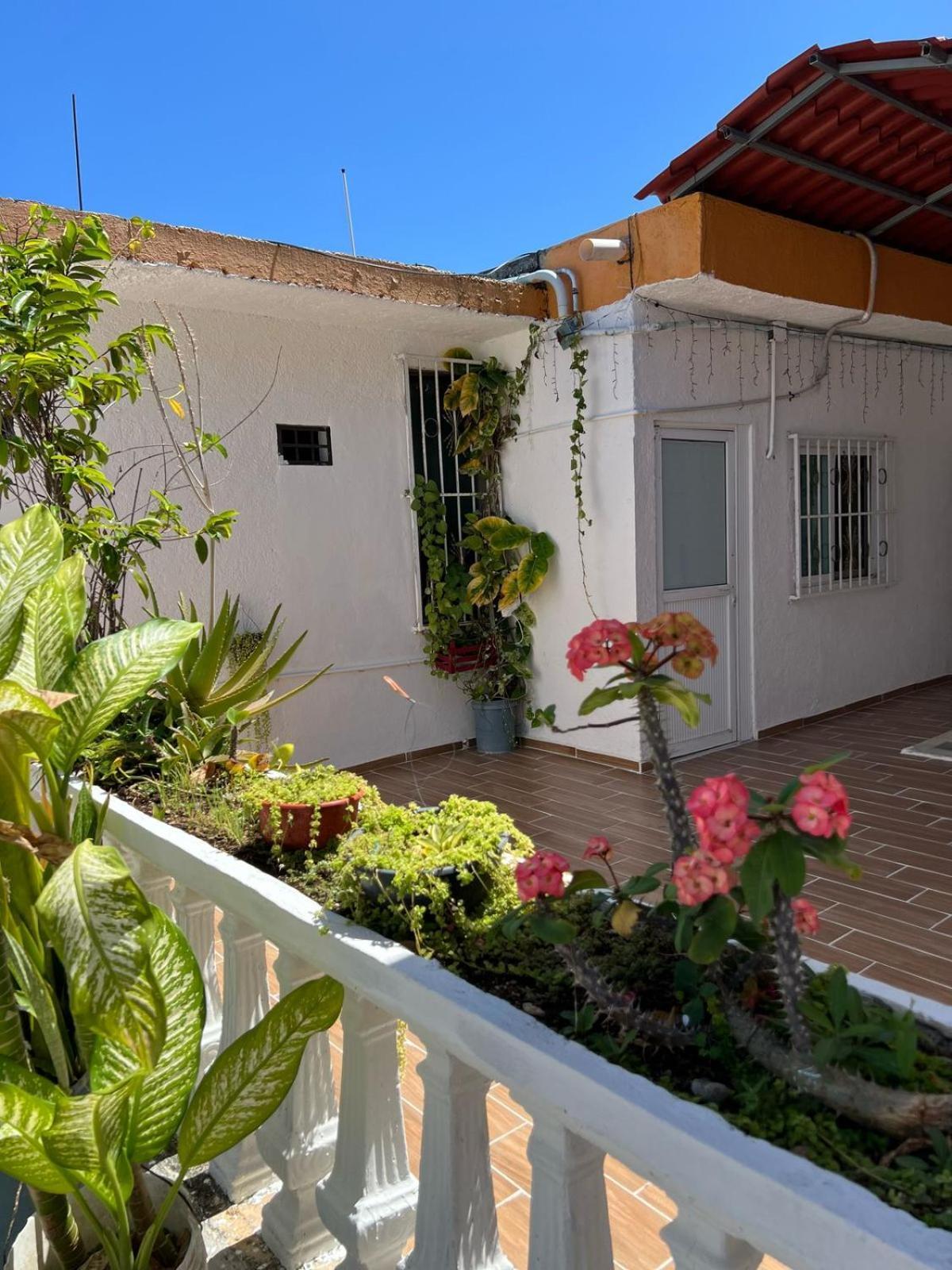 Alojamiento En La Calle 56 Playa Del Carmen Ngoại thất bức ảnh